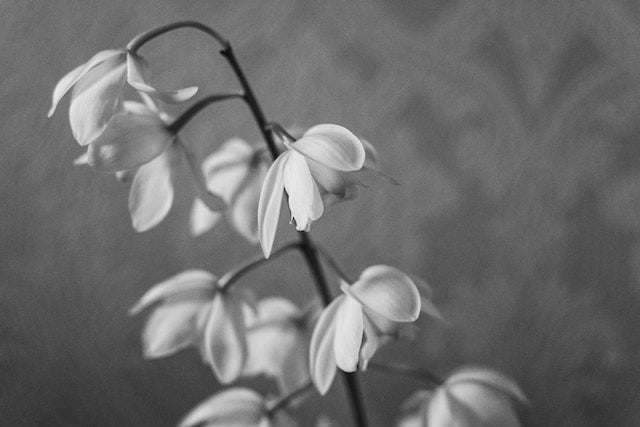 Rising from the Heartache