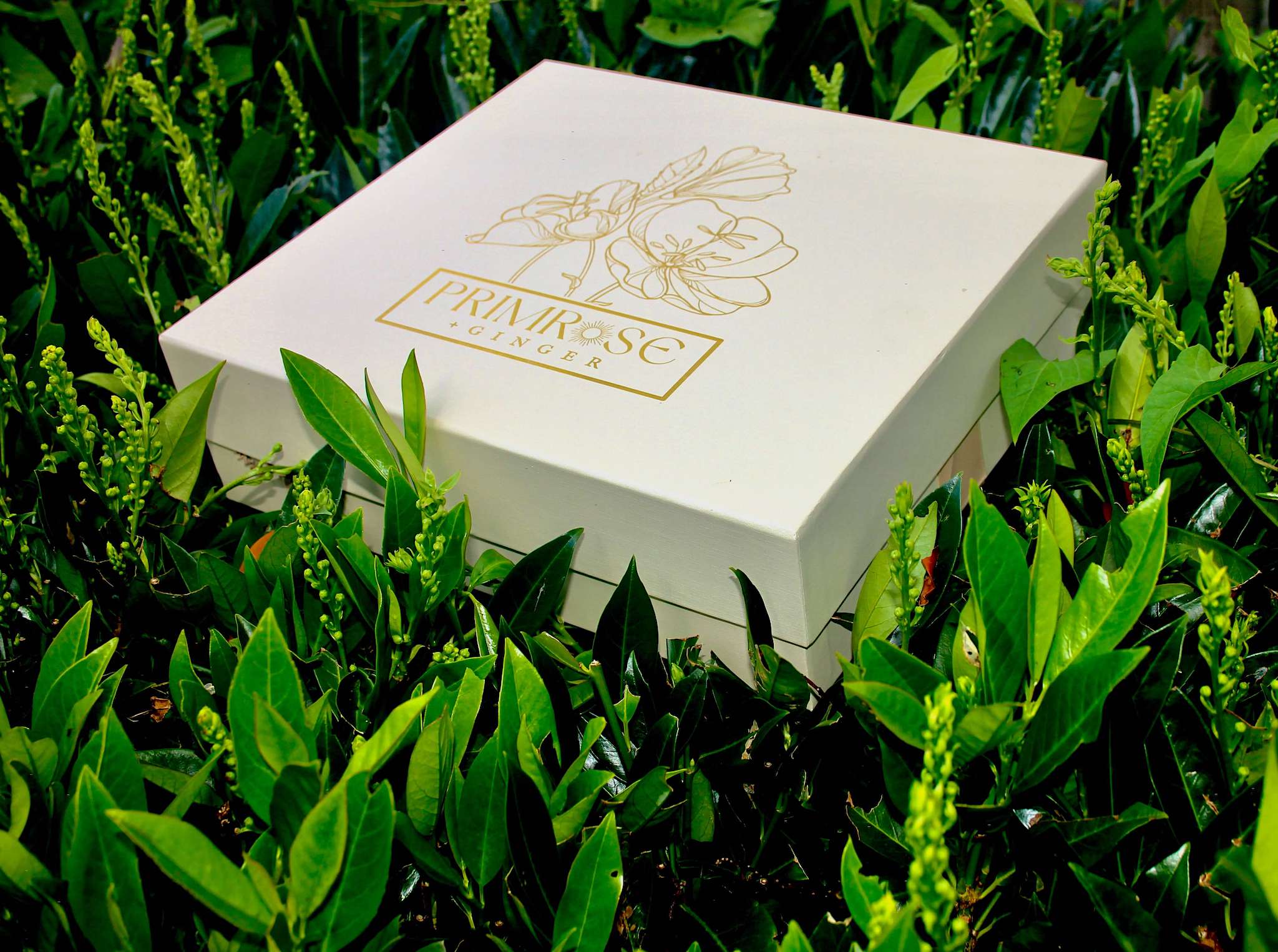 Luxury postpartum gift box presented in natural outdoor setting